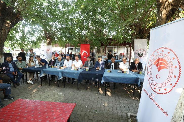 Bakan Yardımcısı Pakdil, Kırklareli'nde ayçiçeği tarlalarında incelemede bulundu: G5