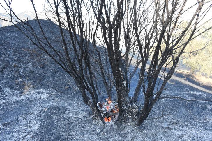Aydın'da çöplerin toplandığı alanda çıkan yangın söndürüldü G5