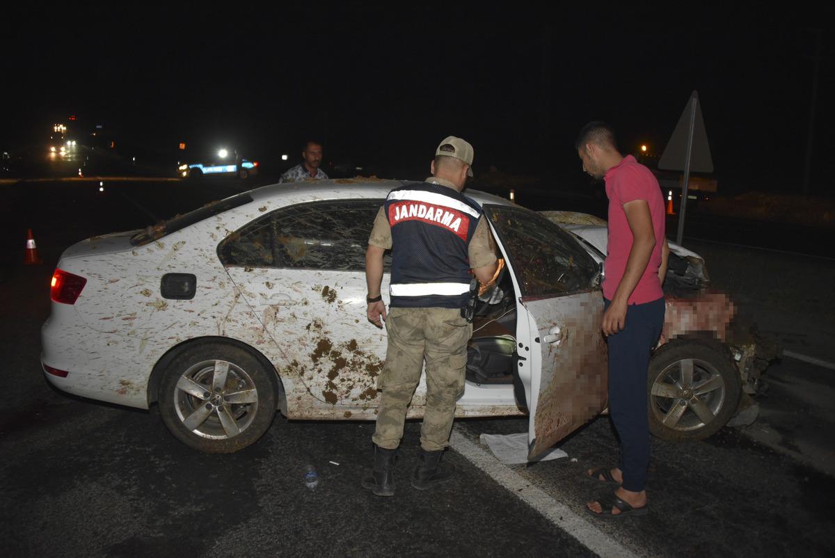 Şanlıurfa'da koyun s&uuml;r&uuml;s&uuml;ne &ccedil;arpan otomobilin s&uuml;r&uuml;c&uuml;s&uuml; yaralandı