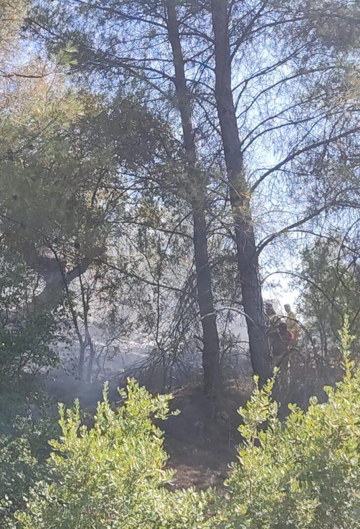 Muğla'da çıkan orman yangınları söndürüldü G3