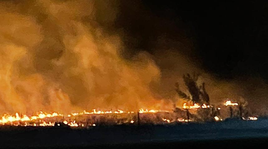 Yer: Bursa! Leylek sürüsü yangına yol açtı