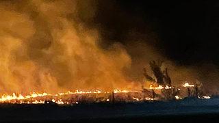 Yer: Bursa! Leylek sürüsü yangına yol açtı