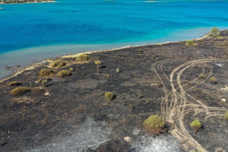 GÜNCELLEME - Çeşme'de yanan otluk alanda soğutma çalışmaları sürüyor G3
