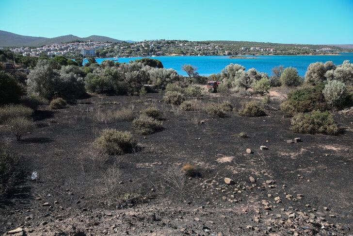 GÜNCELLEME - Çeşme'de yanan otluk alanda soğutma çalışmaları sürüyor G4