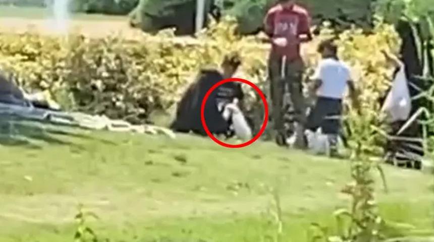 Bahçeşehir Gölet Parkı'ndaki görüntüler gündem olmuştu! Kazları çaldıkları iddia edilen kadın konuştu: Eminönü'nden aldık, evde büyüttük