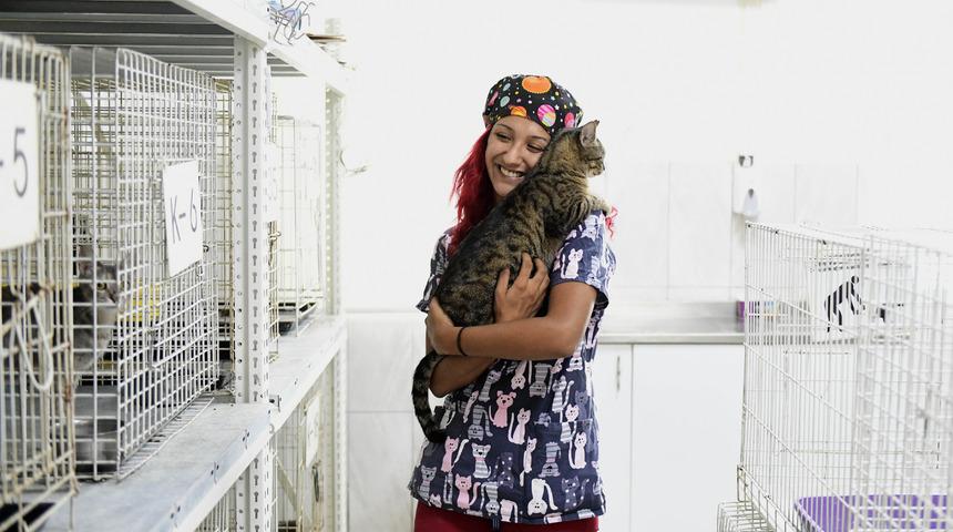 Antalya'da kedilere sıcak hava tehlikesine karşı klimalı oda