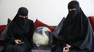 Başakşehir'de göletten ördek çaldıkları iddiasıyla gündeme gelen kadınlardan açıklama: