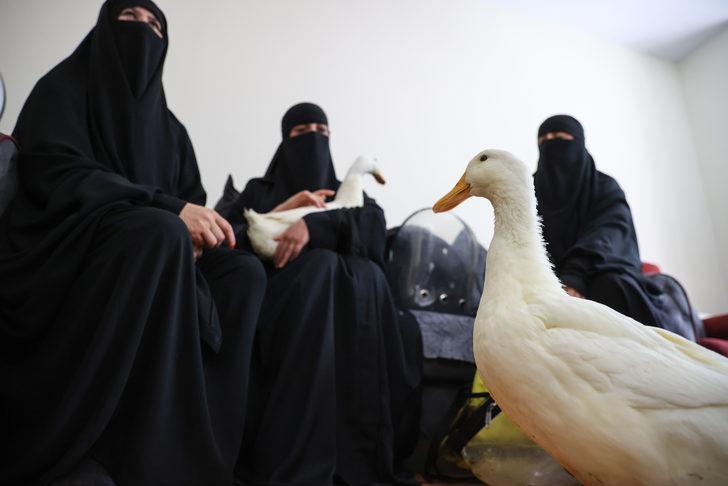 Başakşehir'de göletten ördek çaldıkları iddiasıyla gündeme gelen kadınlardan açıklama: G5