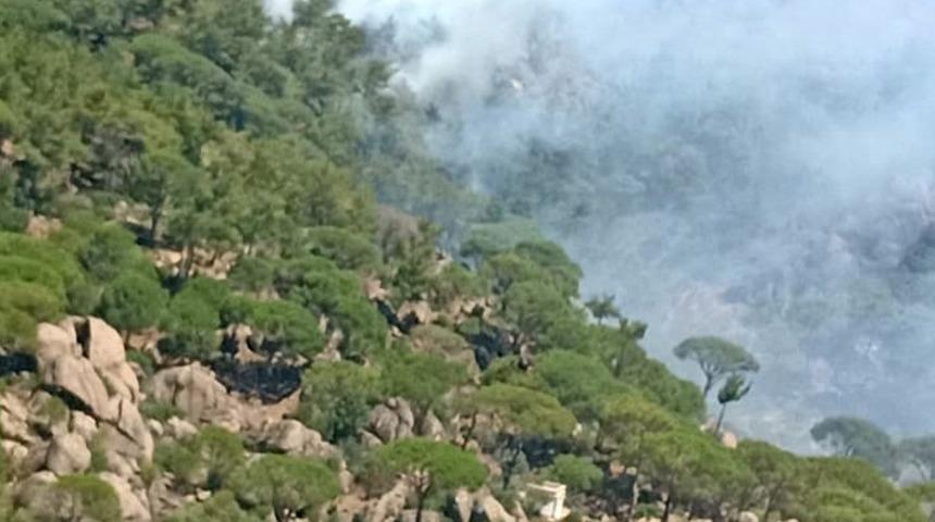 GÜNCELLEME - Milas'ta çıkan orman yangını kontrol altına alındı