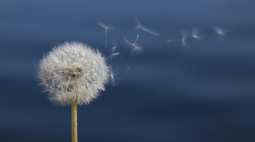 Bahar alerjisini hafife almayın
