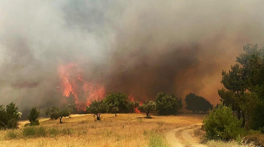 SON DAKİKA | Manisa Gördes'te orman yangını! Ekipler müdahale ediyor