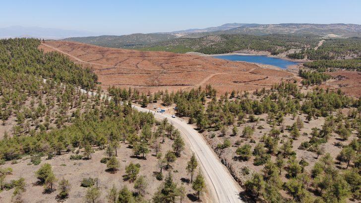 Kilis'te jandarma ekipleri orman yangınlarına karşı devriye görevi yapıyor G2