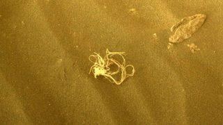 NASA, Mars’ta gizemli bir keşif yaptı! Bulunan gümüş renkli obje herkesi şaşırttı