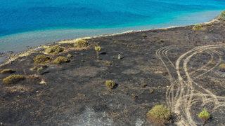 Belediye Başkanı canlı yayın açıp yardım istemişti! Yangının verdiği zarar sabah ortaya çıktı: Yürek burkan kareler