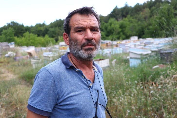 Trakya'da arıcılar ilaçlamanın arıların aktif olmadığı zamanlarda yapılmasını istiyor G5