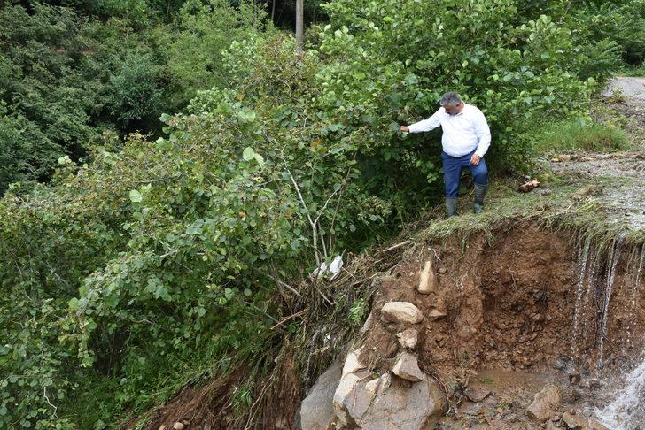 Ordu'da şiddetli yağıştan etkilenen fındık bahçelerinde hasar tespit çalışması başlatıldı G1