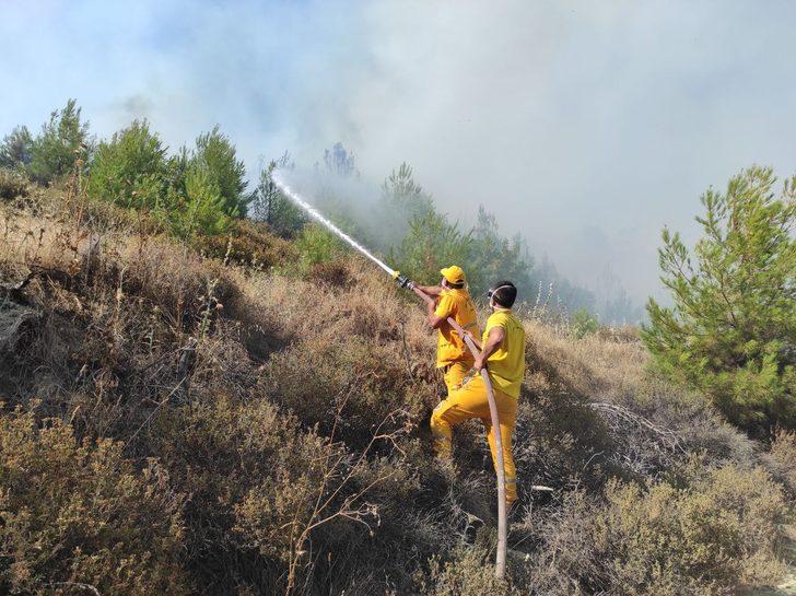 GÜNCELLEME - Manisa'da orman yangını çıktı G5