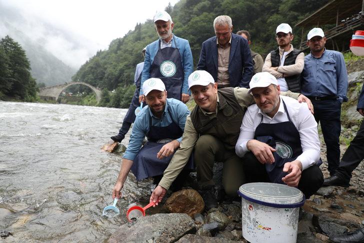 Fırtına Deresi'ne 50 bin kırmızı benekli alabalık yavrusu bırakıldı G5