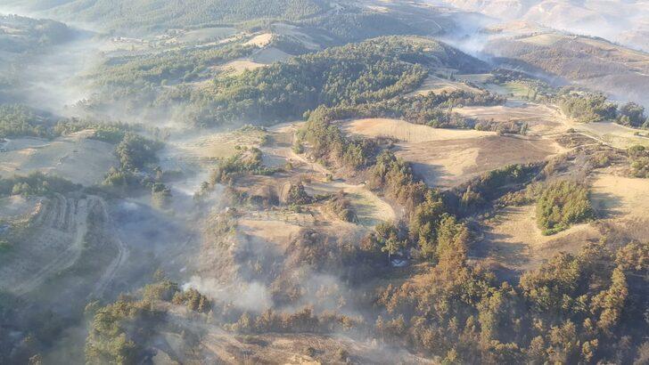 GÜNCELLEME - Manisa'daki orman yangınına ilişkin 2 kişi gözaltına alındı G1
