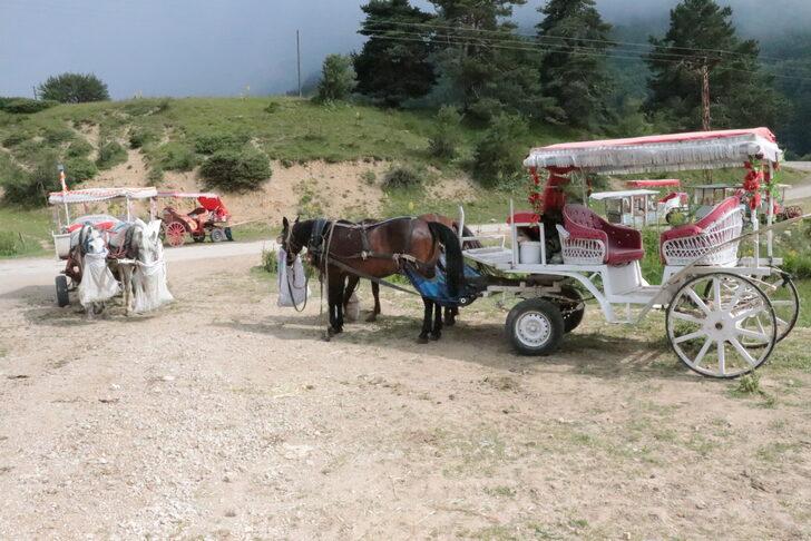 Abant Milli Parkı'nda at ve faytonla yapılan gezi faaliyetleri sonlandırıldı G4