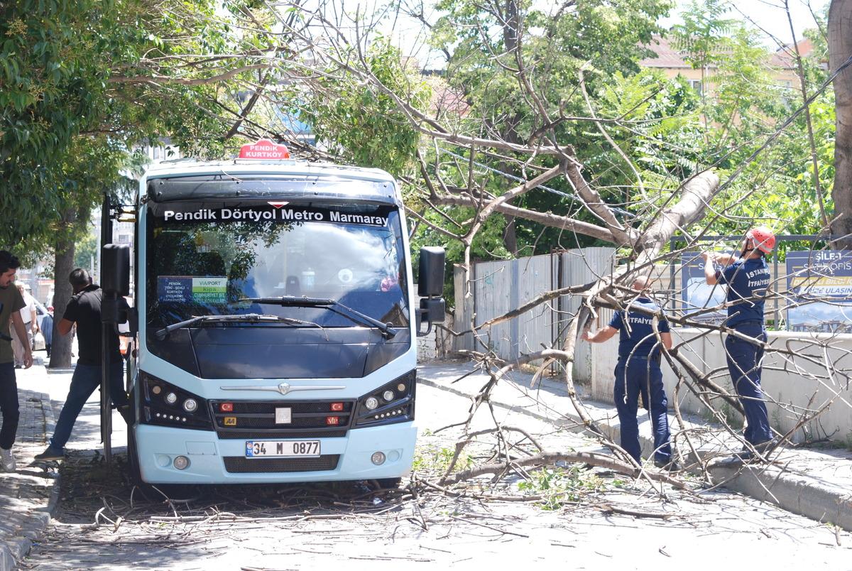 Pendik'te yolcu minib&uuml;s&uuml;n&uuml;n &uuml;zerine ağa&ccedil; devrildi
