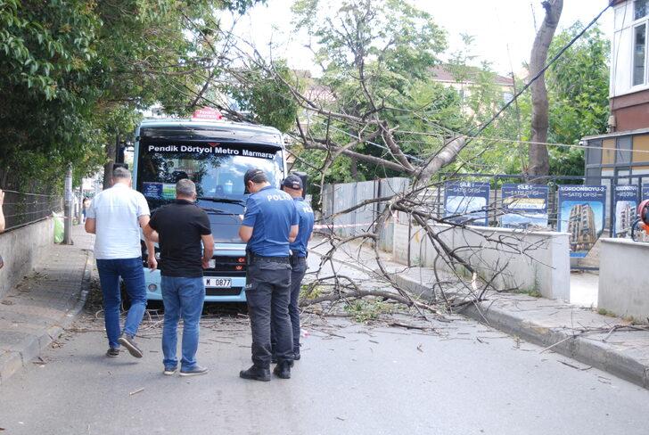 Pendik'te yolcu minibüsünün üzerine ağaç devrildi G4