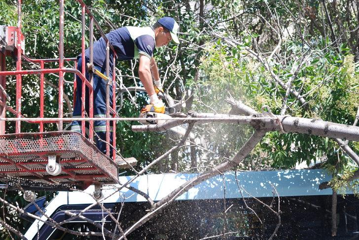 Pendik'te yolcu minibüsünün üzerine ağaç devrildi G5