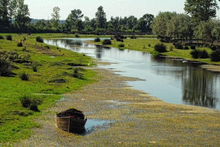 Kızılırmak Deltası Kuş Cenneti, 7 ayda 17 bin 726 ziyaretçi ağırladı G3
