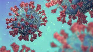 Geçen ay 1-2'di, son günlerde 300'e kadar çıktı! İl Sağlık Müdürü: Salgın şu anda biraz şekil değiştirdi