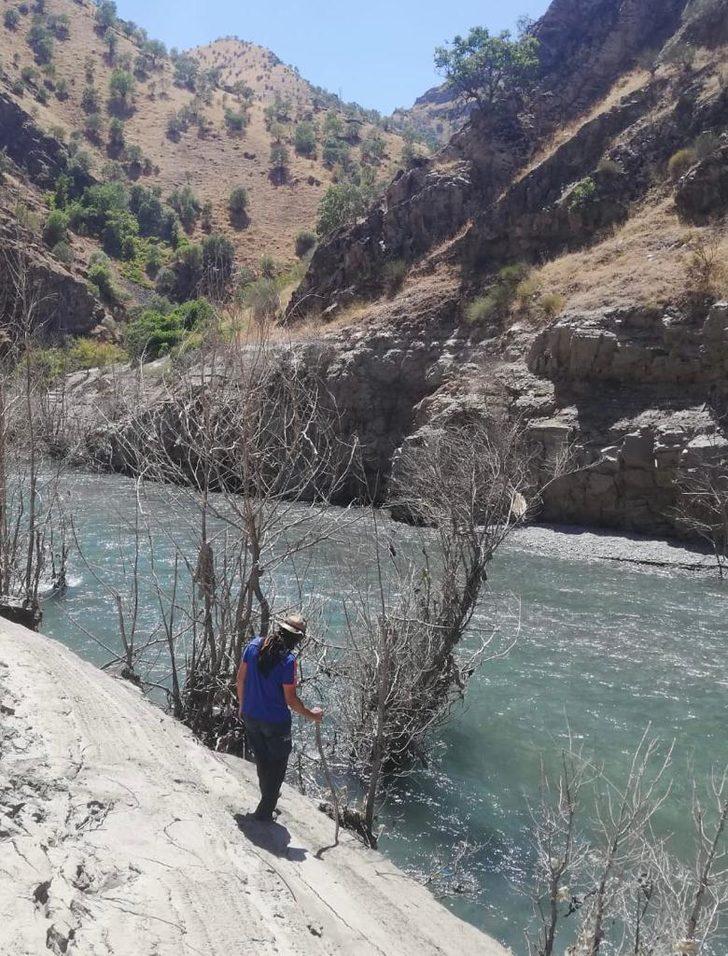 Müküs Çayı'na düşen hemşireyi arama çalışmaları 40'ıncı gününde sürüyor G4