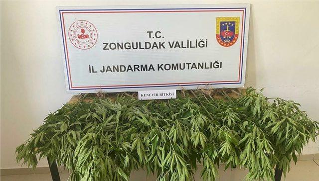 Zonguldak'ta uyuşturucu operasyonlarında 6 şüpheli yakalandı