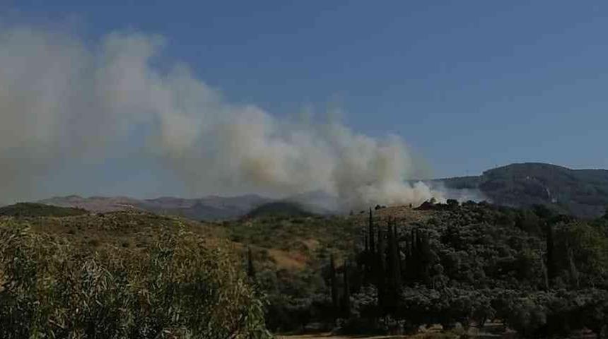 Aydın'da orman yangını! Zamana karşı yarış başladı