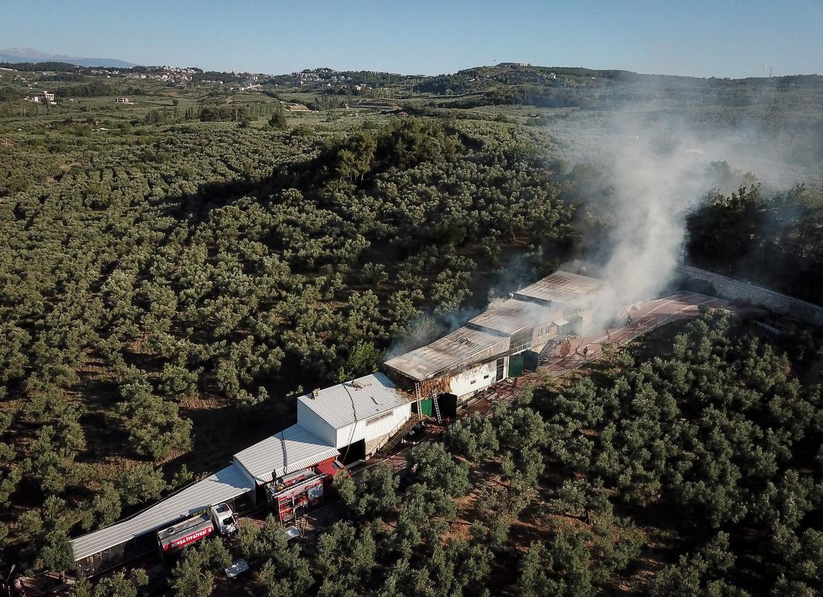 Bursa'da &ccedil;iftlikte &ccedil;ıkan yangında &ccedil;ok sayıda tavuk ve koyun telef oldu
