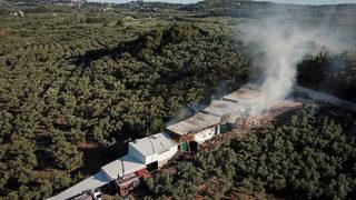 Bursa'da çiftlikte çıkan yangında çok sayıda tavuk ve koyun telef oldu