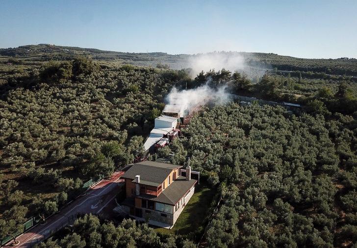 Bursa'da çiftlikte çıkan yangında çok sayıda tavuk ve koyun telef oldu G3