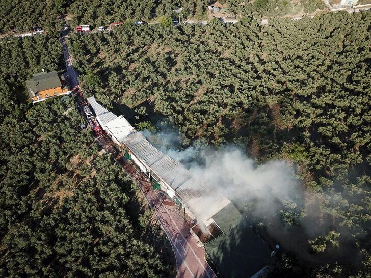 Bursa'da çiftlikte çıkan yangında çok sayıda tavuk ve koyun telef oldu G4