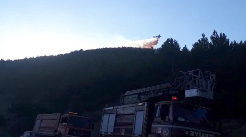 Kütahya'da ormanlık alanda çıkan yangına müdahale ediliyor