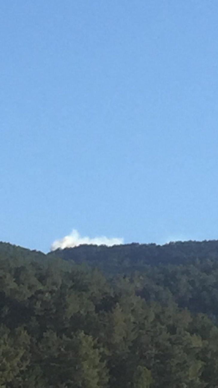 GÜNCELLEME  - Kütahya'da ormanlık alanda çıkan yangın kontrol altına alındı G2