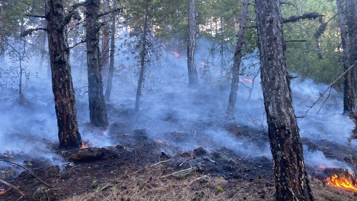 GÜNCELLEME  - Kütahya'da ormanlık alanda çıkan yangın kontrol altına alındı G3