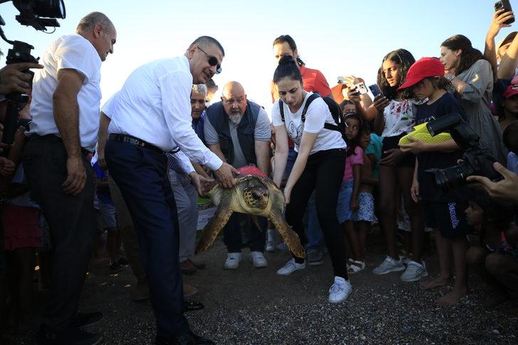 Antalya'da tedavisi tamamlanan caretta caretta uydu takip cihazı takılarak denize bırakıldı G3