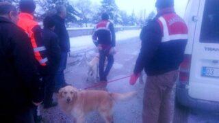 4 gündür kayıp adam köpekle aranıyor