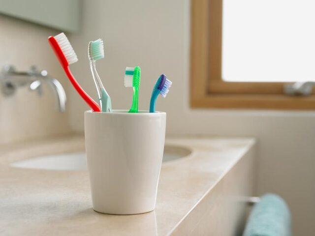 diş fırçaları