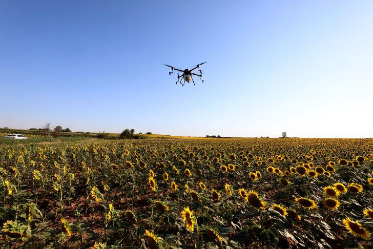 Trakya'da çayır tırtılı ilaçlaması arıların zarar görmemesi için akşam yapılıyor G4