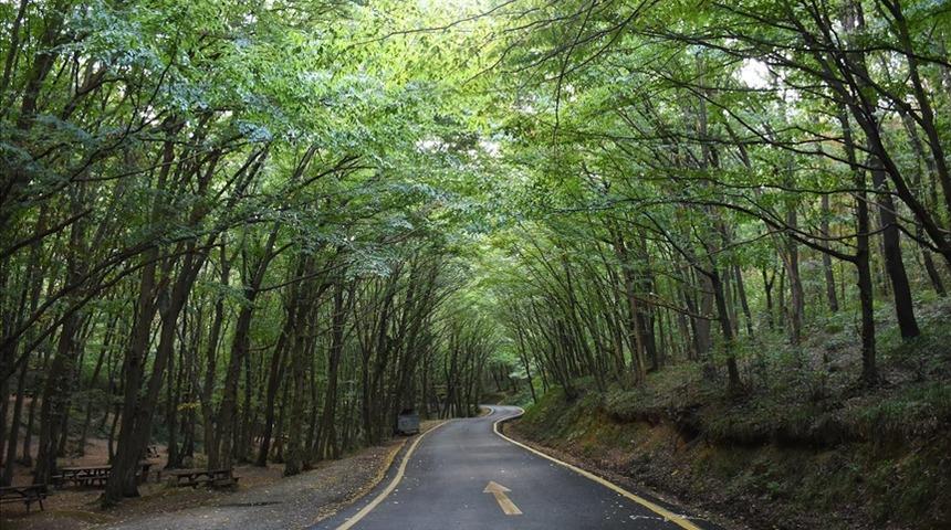 SON DAKİKA | Ankara Valiliği duyurdu: 30 Eylül'e kadar yasaklandı