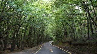 SON DAKİKA | Ankara Valiliği duyurdu: 30 Eylül'e kadar yasaklandı