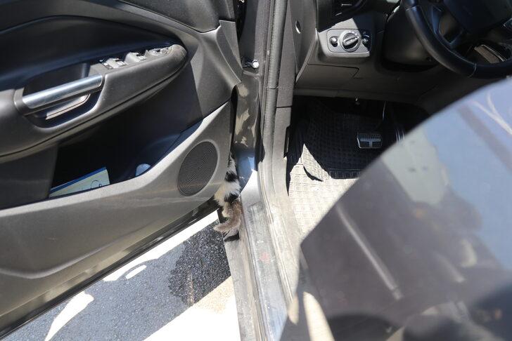 Erzincan'da otomobilin kapısına sıkışan kediyi itfaiye kurtardı G2