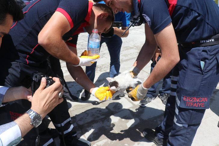 Erzincan'da otomobilin kapısına sıkışan kediyi itfaiye kurtardı G3