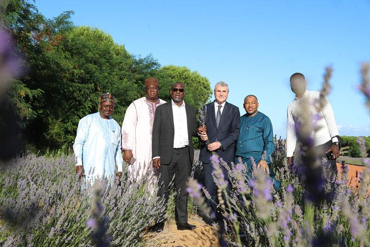 Nijeryalı yatırımcılar Sakarya'daki tarım ve turizm projelerini inceledi G5