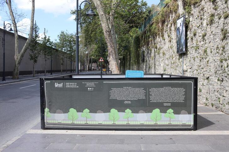 İBB'nin Dolmabahçe ve Çırağan'da kestiği çınarların yerine diktiği fidanlar kurudu G3