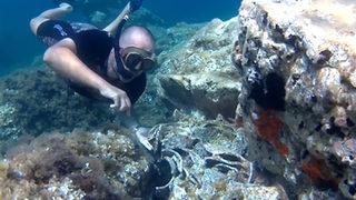 Ata Demirer, Bursa Bülbülü'nün yorgunluğu Kuzey Ege'de atıyor! Dalış yaptığı anları paylaştı